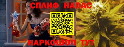 крисы Будённовск