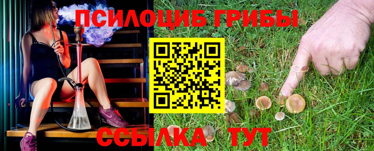 Псилоцибиновые грибы GOLDEN TEACHER Тельмана