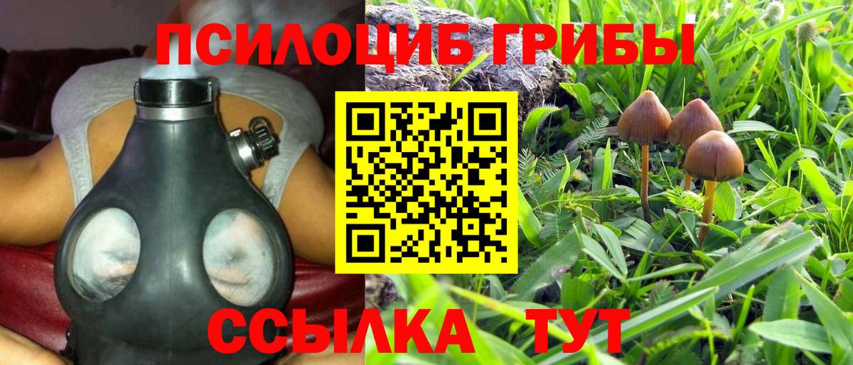 Тельмана  Псилоцибиновые грибы Cubensis  Галлюциногенные грибы GOLDEN TEACHER  Вход с VPN 